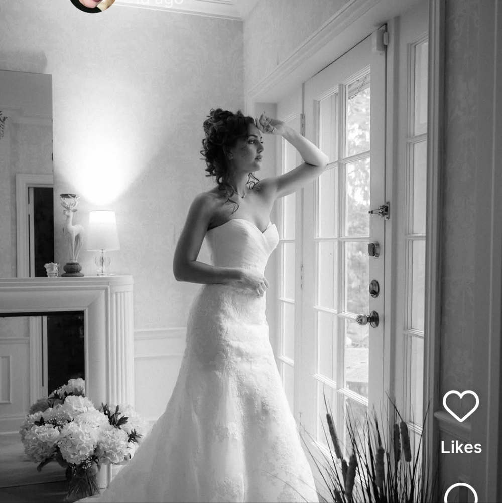 Elegant Lace Wedding Gown - Picture 7 of 9